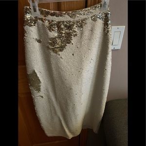 Sequin skirt